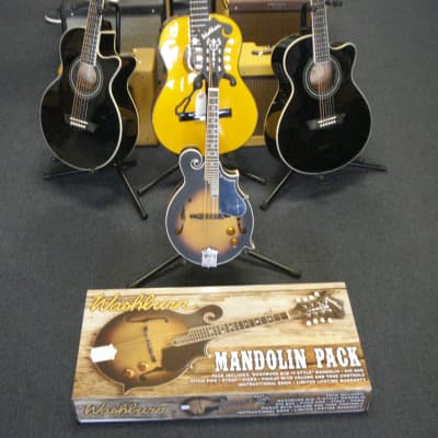Washburn  M3EK-A electric mandolin new! image 1