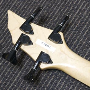 Cort Curbow 4FL Fretless Bass image 10