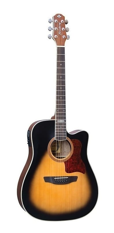 Strinberg Acoustic Guitar w/ Built-In Preamp & Tuner SD-20C | Reverb