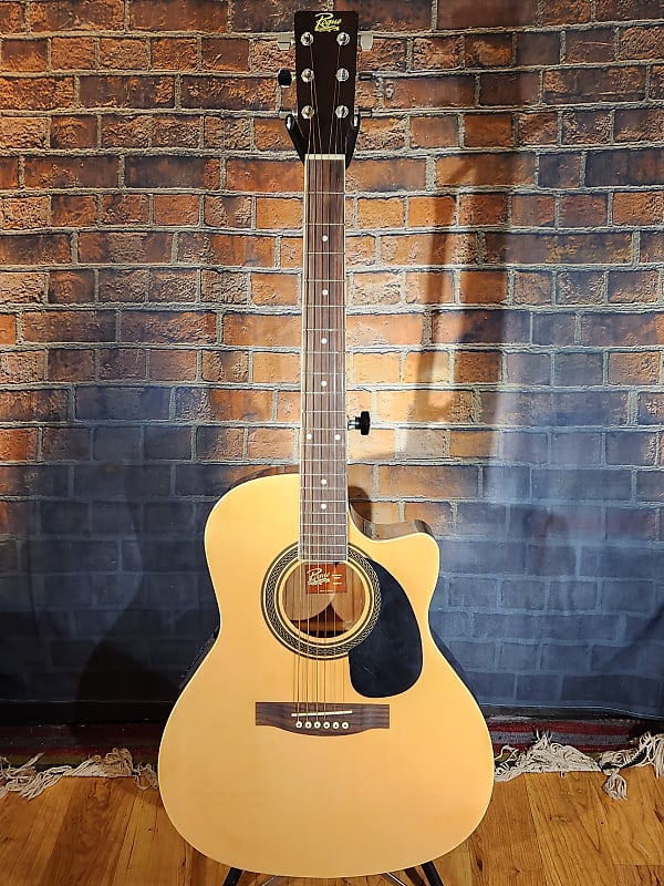 Rogue RAGCEQ Acoustic Guitar With Fishman Classic 4 Pickup Reverb