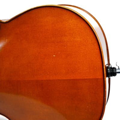 Cello 4/4 Beubenreuth image 9