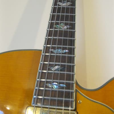 Washburn J-10 Orleans 1997 Spruce/Flamed Sycamore 17" Deep-Bodied  Archtop Jazz Electric Guitar Rare image 6