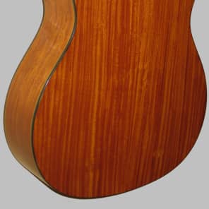 Giannini Classical Guitar All Solid Wood Made in Brazil w/Giannini Gig Bag image 8