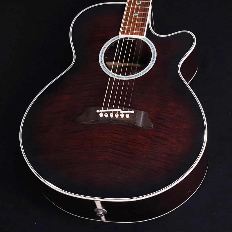 Takamine タカミネ PT-108 エレアコ アコースティックギター ハード 