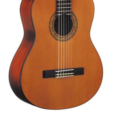 Washburn C5 Classical Acoustic Guitar Natural C5-WSH-A for sale