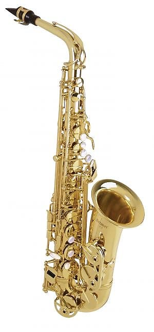 Selmer AS42 Alto Saxophone Outfit image 1