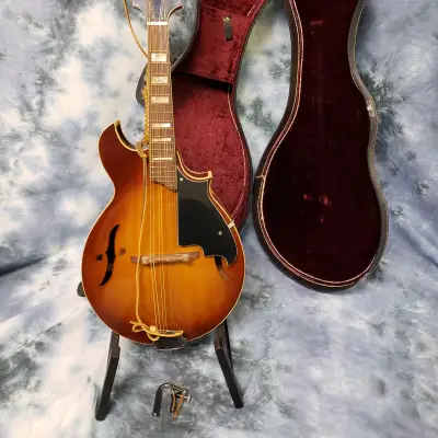1972 Harmony Batwing Mandolin  Pro Setup New Strings Original Case Strap Capo image 1