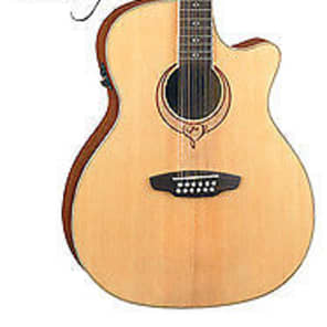 Luna Guitars Heartsong 12 String Concert A/E Guitar, b-band, USB Upgrade, SONG12 image 8