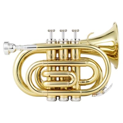 Standard Pocket Trumpet Bb Full Kit With Case & Accessories Bundle image 3