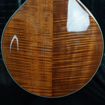 Brand New Bourgeois A Style Mandolin Model M5A Adi Top / Flamed Bosnian Maple ALL TORRIFIED image 4