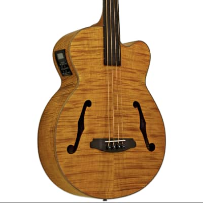 Aria Hollow body fretless bass 2023 - Transparent Brown Stain image 3