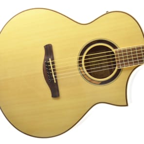 Ibanez AEW51 Exotic Tonewood Acoustic Electric Guitar