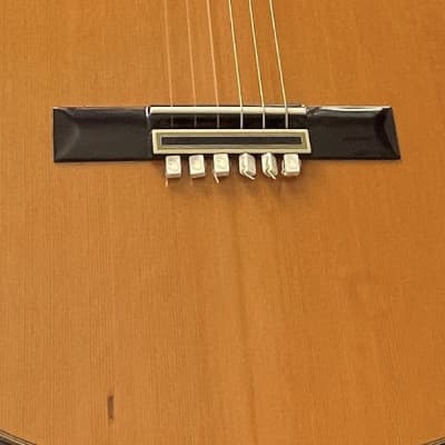 Pavan TP-30-64-L Left-Handed Classical Guitar With Plush Case - 2015 image 6