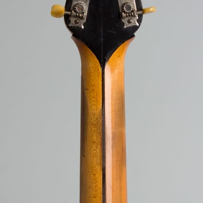 Gibson  Style GB Guitar Banjo (1919), ser. #553, original black hard shell case. image 6