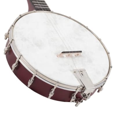 Recording King RKH-05 Dirty 30s Resonator Banjo, Satin image 5