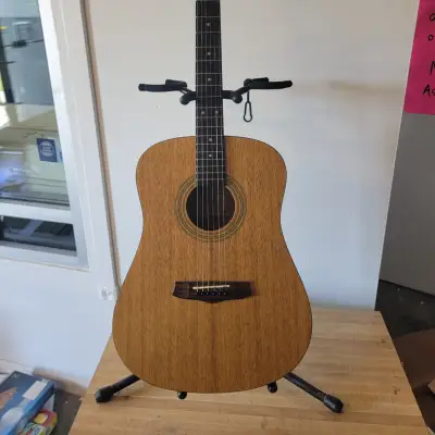 Ariana AW-60 Acoustic Guitar for sale