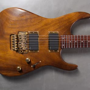 Fernandes FR 20th Anniversary | Reverb