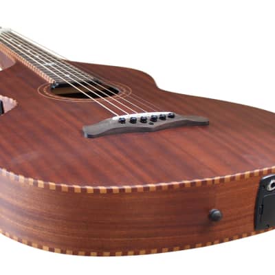 Artist WBS200 Solid Wood Weissenborn with Pickup image 4