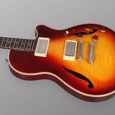 CP Thornton Guitars Professional 2023 - Darkburst w/ 5A Flame Maple Top. NEW (Authorized Dealer) image 4