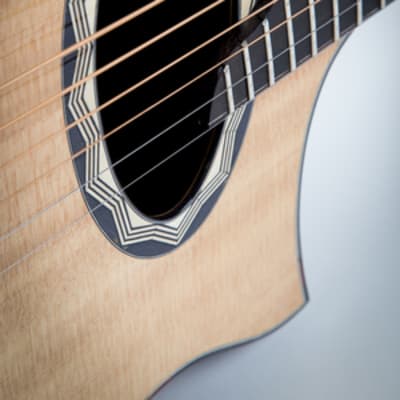 Beardsell Guitars 3D-ms  (multi-scale) image 3