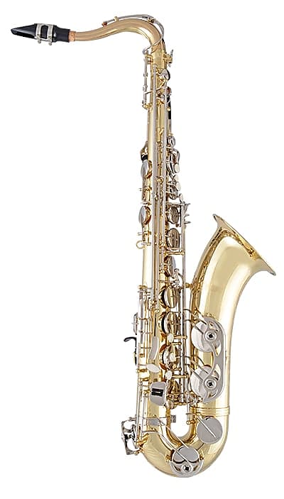 Selmer STS301 Tenor Saxophone image 1