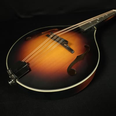 Eastman MD305E-SB A Style Mandolin with Pickup and Bag image 2