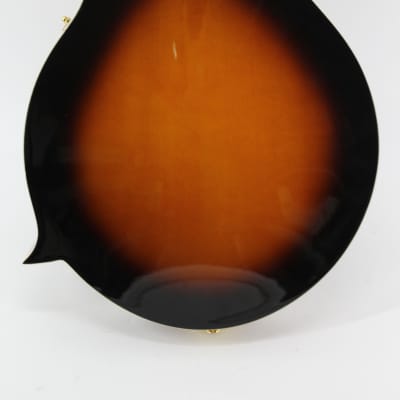 Denver Concert Mandolin 2000s - Tobacco Burst image 6