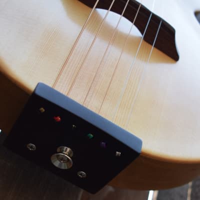 Bright Guitars BearCub™ mini archtop guitar image 5