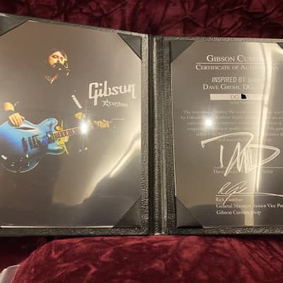 Gibson DG 335 Dave Grohl Signature Pelham Blue 1st Run 2007 image 18