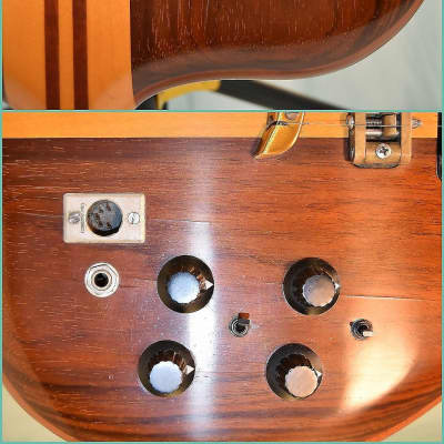 Alembic Series I Guitar 1978 image 7