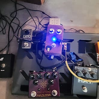 JAM Pedals Fuzz Phrase LTD