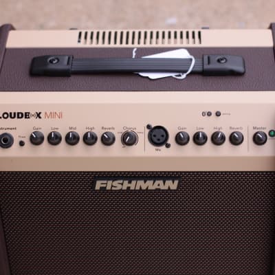 Fishman Loudbox Mini Bluetooth Acoustic Amplifier image 2