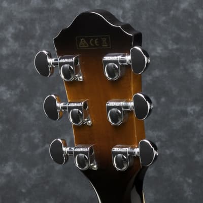 Ibanez JSA5 Joe Satriani Signature Acoustic/Electric Guitar, Vintage High Gloss Sunburst Finish image 4