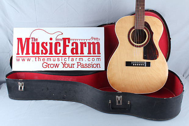 Harmony shop f70 guitar