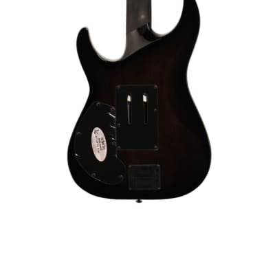 Schecter Hellraiser Hybrid C1FRS Electric Guitar Trans Black Burst image 6