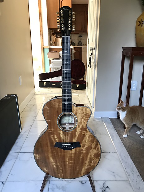Taylor k65ce koa 12 string outlet