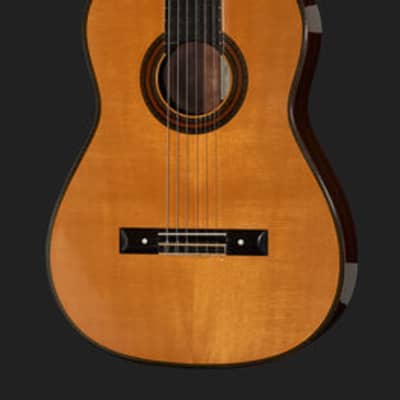 Juan Hernandez Model Torres Spanish Classical Concert Guitar with Hardcase for sale