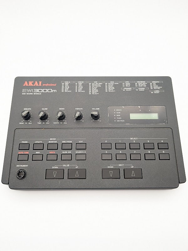 Akai Professional EWM3000m Analog Monophonic Synthesizer w Reverb