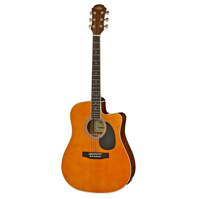 生まれのブランドで Aria A-35CE Electric Acoustic guitar - 楽器・機材