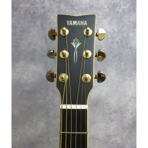 Yamaha DW-8 BL アコースティックギター Yamaha DW-8 Dreadnought Acoustic Guitar Black | Reverb