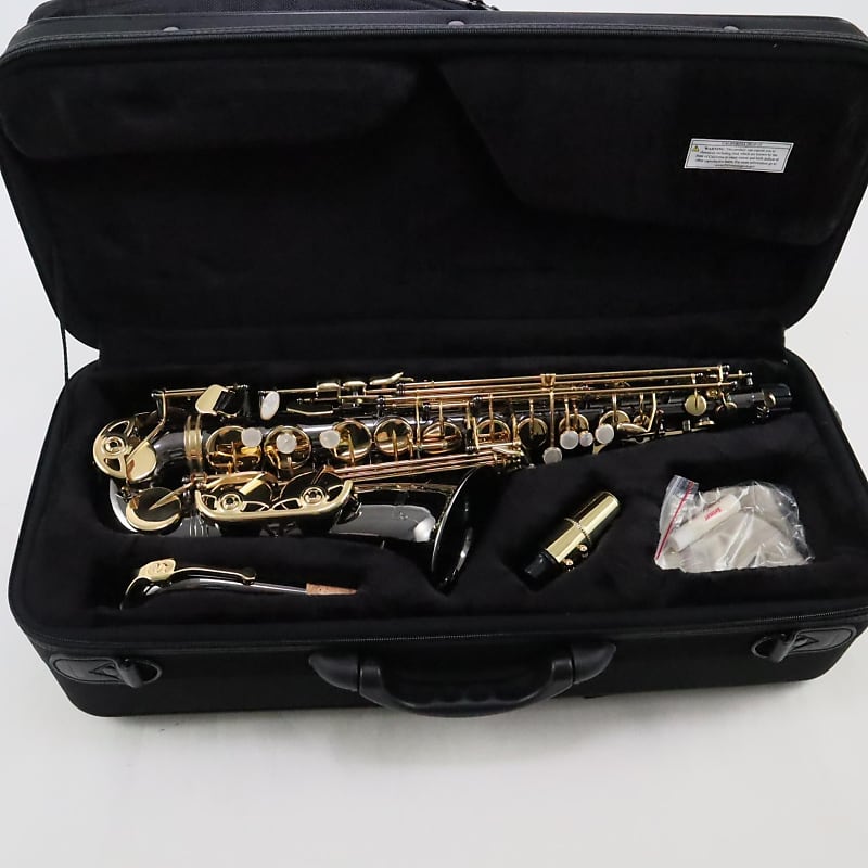 Selmer Model Sas411b Intermediate Alto Saxophone In Black Reverb 2803