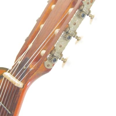 Espana Harp Guitar 1960's - extraordinary guitar made in Finland - with special look and sound! image 9