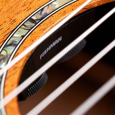 Cordoba C4-CE Acoustic-Electric Nylon-String Classical Guitar image 3
