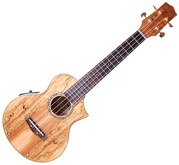 Ibanez Ukulele UEW20SME Cutaway Concert Electric Gorgeous Spalted Maple (A)