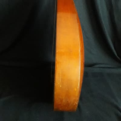 German Lute-guitar (1930) image 12
