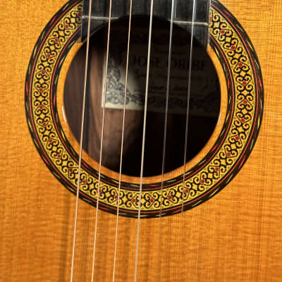 Jose Oribe Gran Suprema 656 Classical Guitar 2007 - Cocobolo Rosewood/Cedar image 8