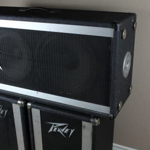 PEAVEY 110PT PA SPEAKER SET