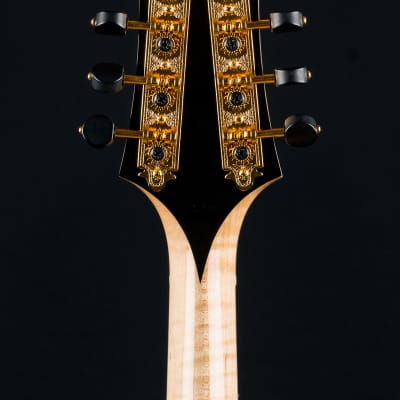 Collings MT2 Blonde Italian Spruce and Flamed Maple Mandolin with Pickguard NEW image 23