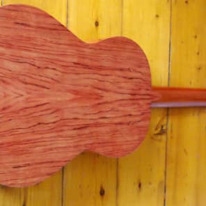 Hand made Antonio Sanchez S20 Spanish Classical guitar Solid Red Cedar image 2