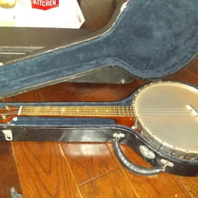 Vega Style N Irish Tenor Banjo 1923 + Reworked Case + Upgrades image 1